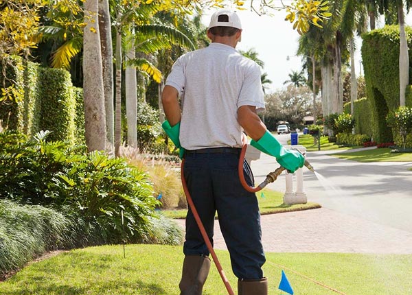 About Waukee IA Pest Control Pros